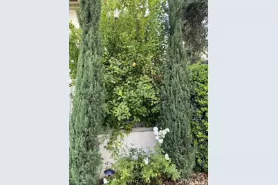 101 N Grand #2, Pasadena, CA 91103 - Photo 21