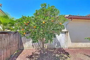 1430 Orange Tree Ln, Upland, CA 91786 - Photo 37