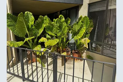 7320 Hawthorn #106 Avenue #106, Los Angeles, CA 90046 - Photo 25