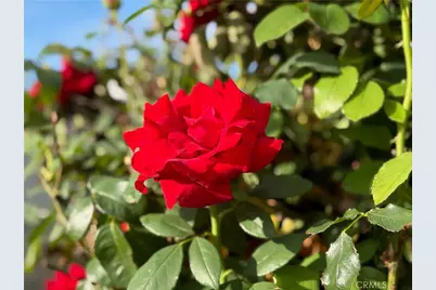 7738 Kraft Avenue, North Hollywood, CA 91605 - Photo 23