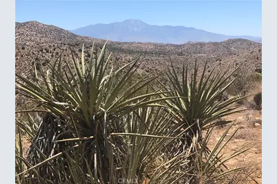 54575 Navajo Trail, Yucca Valley, CA 92284 - Photo 5