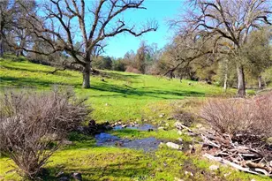 3729 Ben Hur Rd, Mariposa, CA 95338 - Photo 13