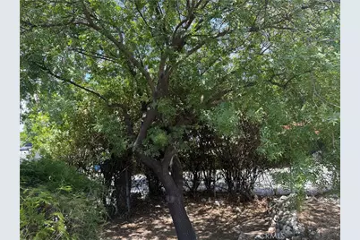 10260 Marcus, Tujunga, CA 91042 - Photo 21