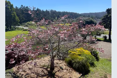 44920 Little Lake Road, Mendocino, CA 95460 - Photo 35