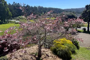 44920 Little Lake Rd, Mendocino, CA 95460 - Photo 35