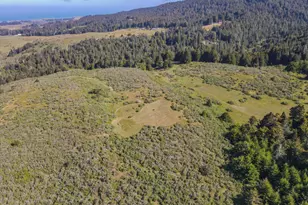 42000 Mountain View Rd, Manchester, CA 95459 - Photo 19