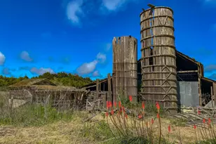 42000 Mountain View Rd, Manchester, CA 95459 - Photo 13