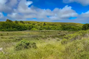 42000 Mountain View Rd, Manchester, CA 95459 - Photo 7