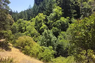 58901 Hwy 101, Leggett, CA 95585 - Photo 3