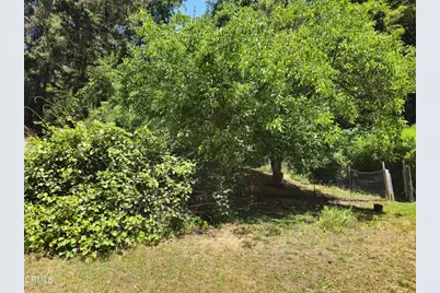 65235 Hwy 271, Leggett, CA 95585 - Photo 29