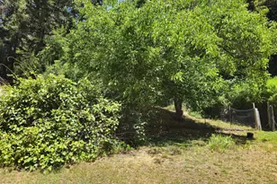 65235 Hwy 271, Leggett, CA 95585 - Photo 29