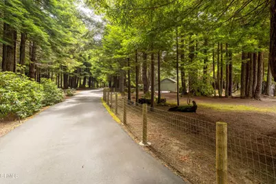 43850 Buckhorn Cove Road, Little River, CA 95456 - Photo 45