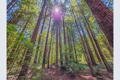 21601 Hellman Lane, Fort Bragg, CA 95437 - Photo 29