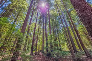 21601 Hellman Ln, Fort Bragg, CA 95437 - Photo 29