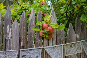 17621 N Hwy 1, Fort Bragg, CA 95437 - Photo 19