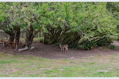 31600 Little Valley Road, Fort Bragg, CA 95437 - Photo 35