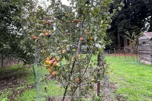 14875 Atkins Way, Fort Bragg, CA 95437 - Photo 53