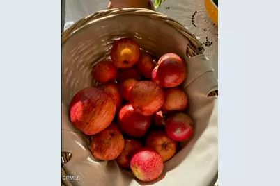 31400 Sherwood Road, Fort Bragg, CA 95437 - Photo 11