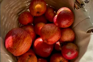 31400 Sherwood Rd, Fort Bragg, CA 95437 - Photo 11