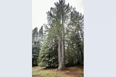 11091 Irmulco Road, Willits, CA 95490 - Photo 29