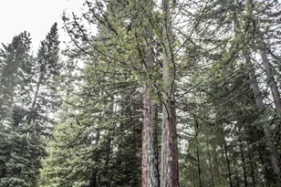 11091 Irmulco Rd, Willits, CA 95490 - Photo 29