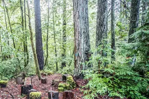 11091 Irmulco Rd, Willits, CA 95490 - Photo 9