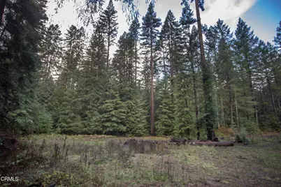 11091 Irmulco Road, Willits, CA 95490 - Photo 15