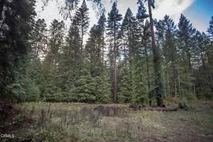 11091 Irmulco Rd, Willits, CA 95490 - Photo 15