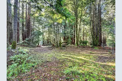 19400 Dorffi Road, Fort Bragg, CA 95437 - Photo 45