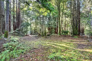 19400 Dorffi Rd, Fort Bragg, CA 95437 - Photo 45