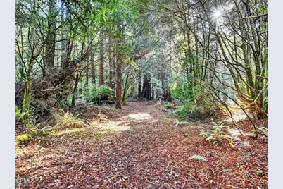 19400 Dorffi Road, Fort Bragg, CA 95437 - Photo 43