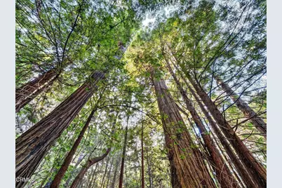 19400 Dorffi Road, Fort Bragg, CA 95437 - Photo 43