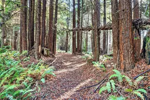 19400 Dorffi Rd, Fort Bragg, CA 95437 - Photo 33