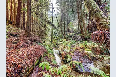 19400 Dorffi Road, Fort Bragg, CA 95437 - Photo 3