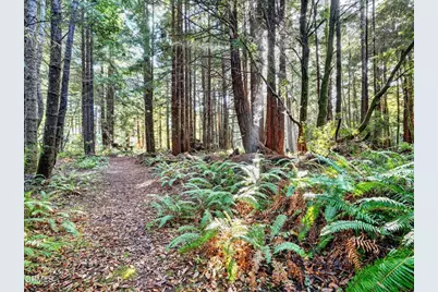 19400 Dorffi Road, Fort Bragg, CA 95437 - Photo 41