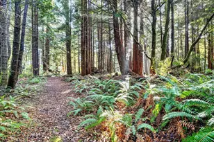 19400 Dorffi Rd, Fort Bragg, CA 95437 - Photo 41