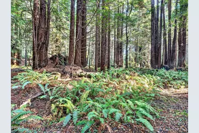 19400 Dorffi Road, Fort Bragg, CA 95437 - Photo 35