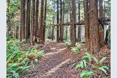 19400 Dorffi Road, Fort Bragg, CA 95437 - Photo 37
