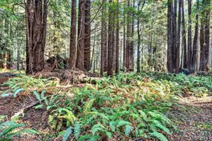 19400 Dorffi Rd, Fort Bragg, CA 95437 - Photo 39