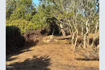 25261 Ward Avenue, Fort Bragg, CA 95437 - Photo 5