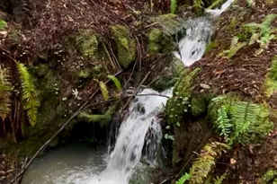 40401 Little River-Airport Rd, Little River, CA 95456 - Photo 47