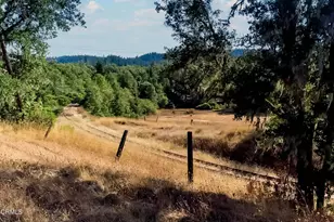 18300 Walker Rd, Willits, CA 95490 - Photo 11