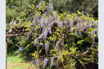 31191 Turner Road, Fort Bragg, CA 95437 - Photo 17