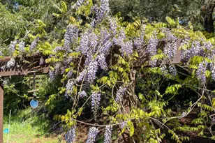 31191 Turner Rd, Fort Bragg, CA 95437 - Photo 17