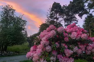 31191 Turner Rd, Fort Bragg, CA 95437 - Photo 31