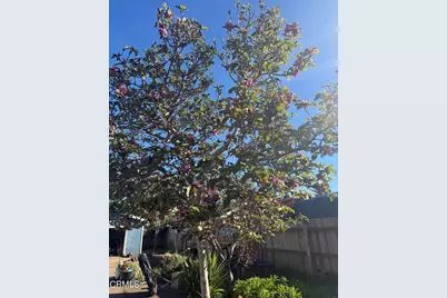1361 E Oak Street, Fort Bragg, CA 95437 - Photo 21