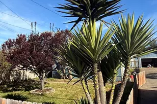 1361 E Oak St, Fort Bragg, CA 95437 - Photo 25