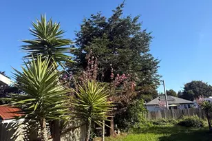 1361 E Oak St, Fort Bragg, CA 95437 - Photo 33