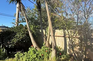 1361 E Oak St, Fort Bragg, CA 95437 - Photo 23
