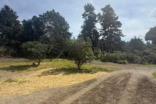 16875 Franklin Rd, Fort Bragg, CA 95437 - Photo 49